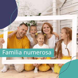 Alta de familia numerosa