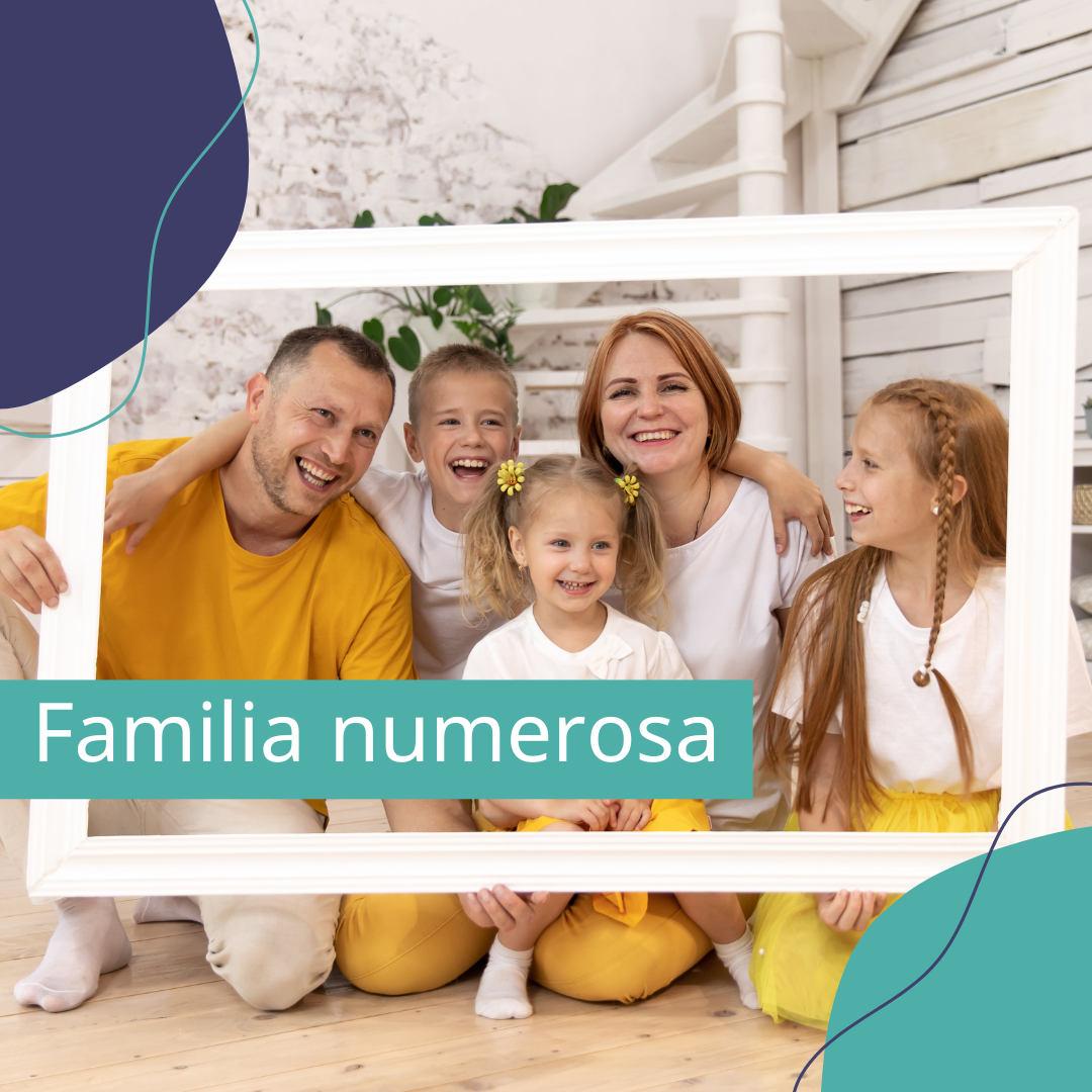 Alta de familia numerosa